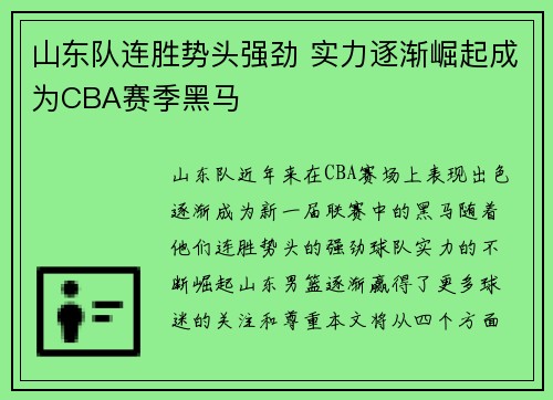 山东队连胜势头强劲 实力逐渐崛起成为CBA赛季黑马
